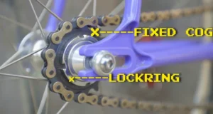 The main difference between single speed and fixed gear bikes is how the drivetrain behaves when you stop pedaling. A single speed has one gear but uses a freewheel, so the rear wheel can keep rolling while your pedals stay still, giving you the option to coast. A fixed gear has the rear cog bolted directly to the hub, so the pedals always move with the wheel, meaning no coasting and full control of speed through your legs. This makes single speeds better for relaxed riding and fixed gears better for those who want a direct, always-engaged feel.