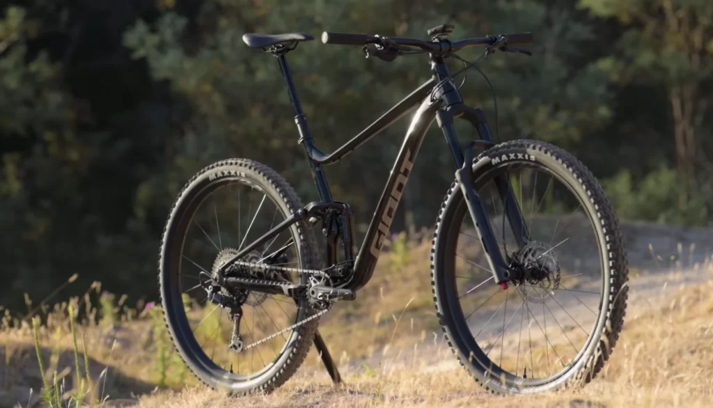 Giant Stance 29 fork